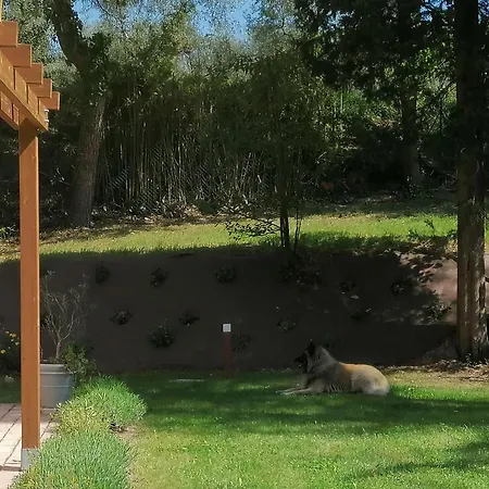 Villa Monte Illuminato Fano